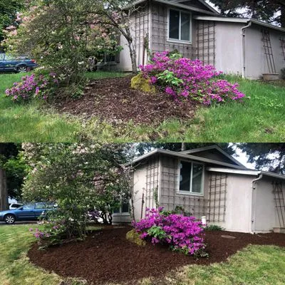 Jackalyn Landscaping Logo