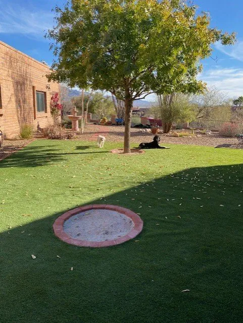 Custom landscape design experts serving Tucson, AZ - Jackpot Landscaping