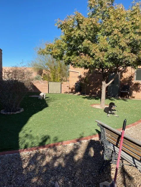 Top-rated landscape design near you in Tucson, AZ by Jackpot Landscaping