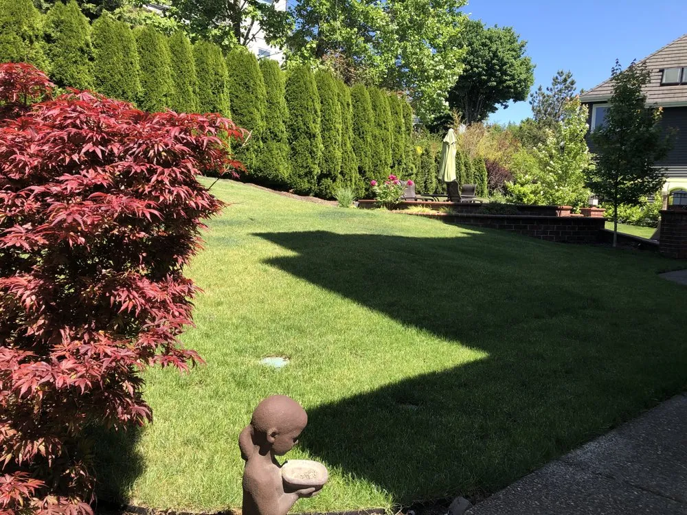 Professional landscape installation in Vancouver, WA - Jack’s Garden Rescue