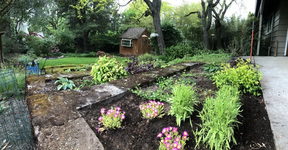 Reliable residential landscaping in Vancouver, WA - Jack’s Garden Rescue