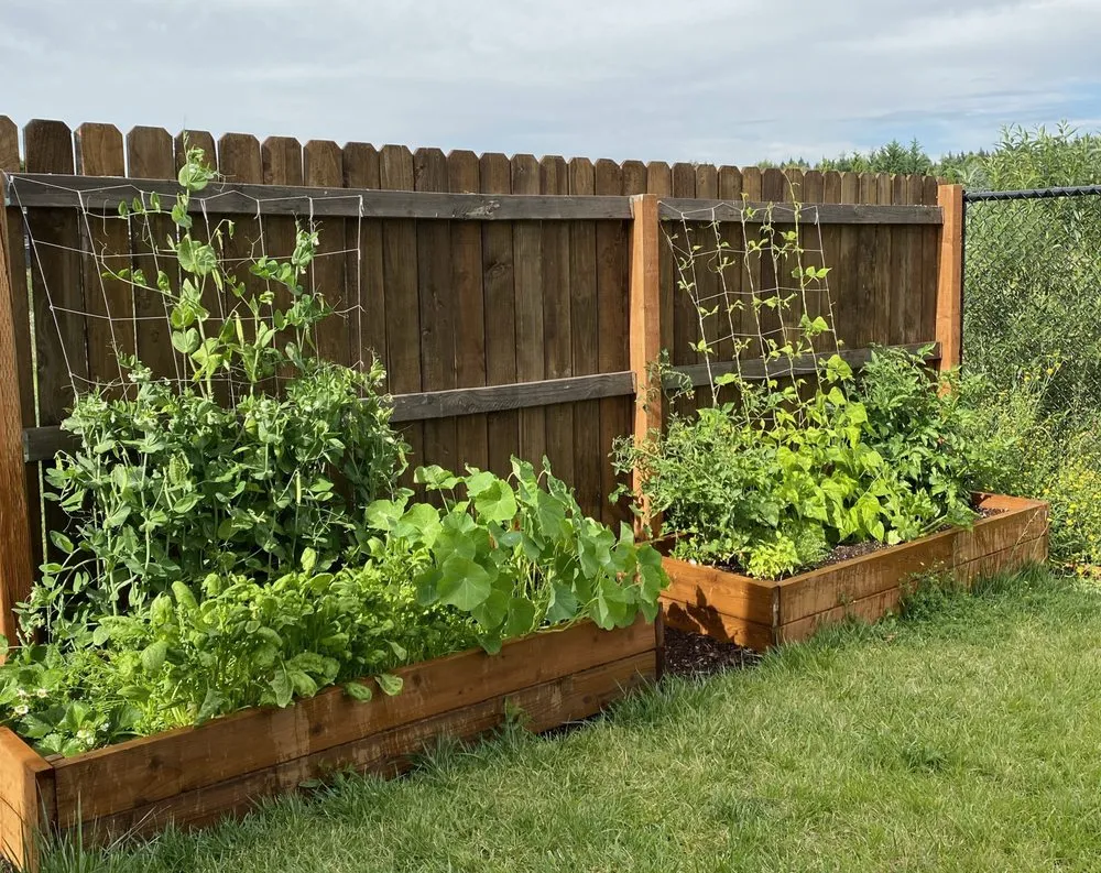 Custom lawn care service in Vancouver, WA by Jack’s Garden Rescue