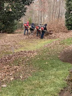 Jack's Lawn Care & Landscaping Logo