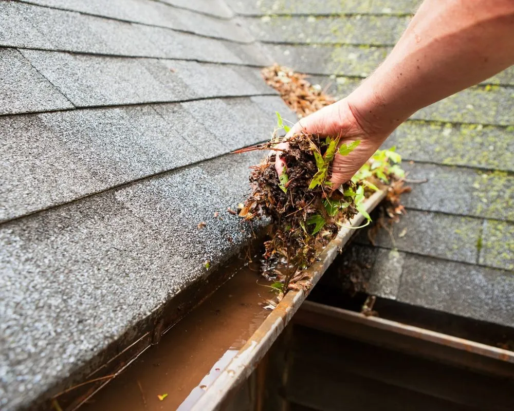 Trusted yard maintenance for residential properties in Denver, IA by Jack's Lawn Care & More