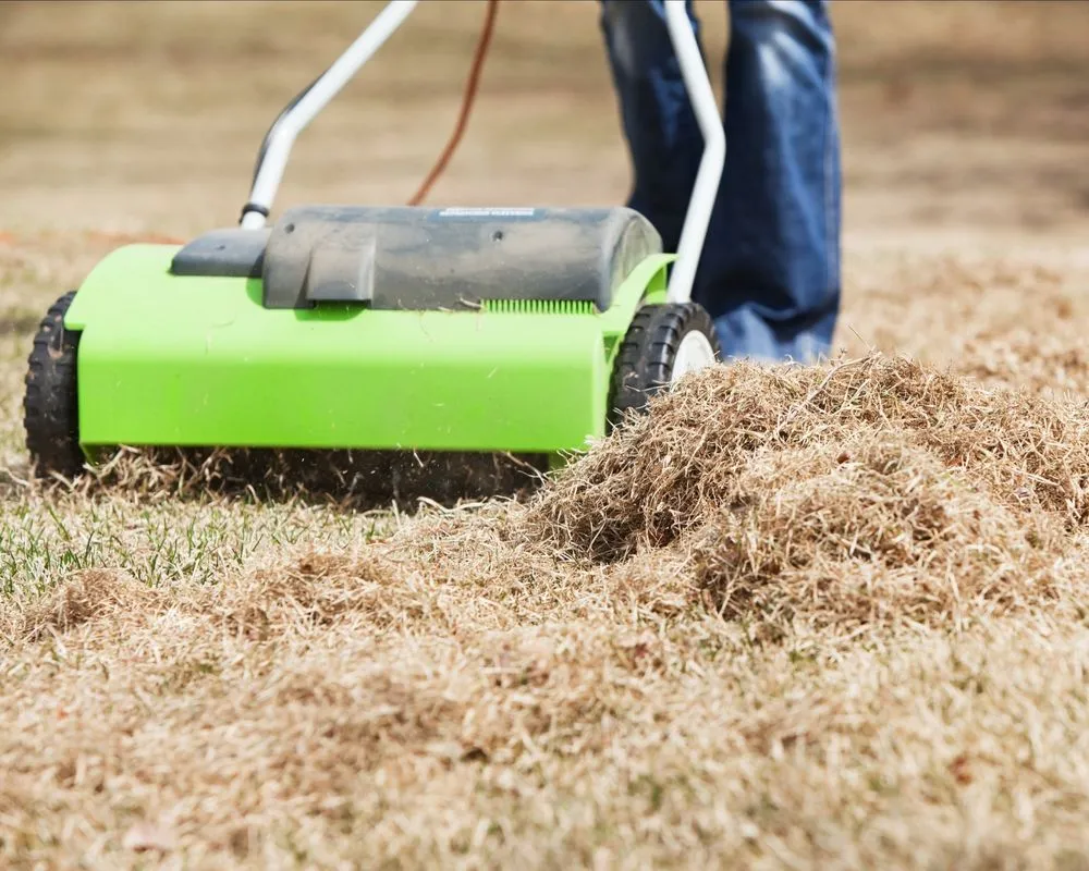 Expert yard cleanup service for beautiful yards across Denver, IA - Jack's Lawn Care & More