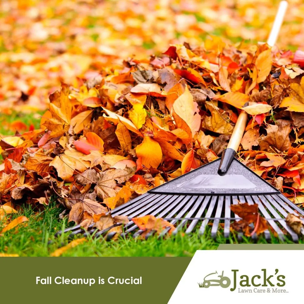 Reliable yard maintenance in Denver, IA - Jack's Lawn Care & More