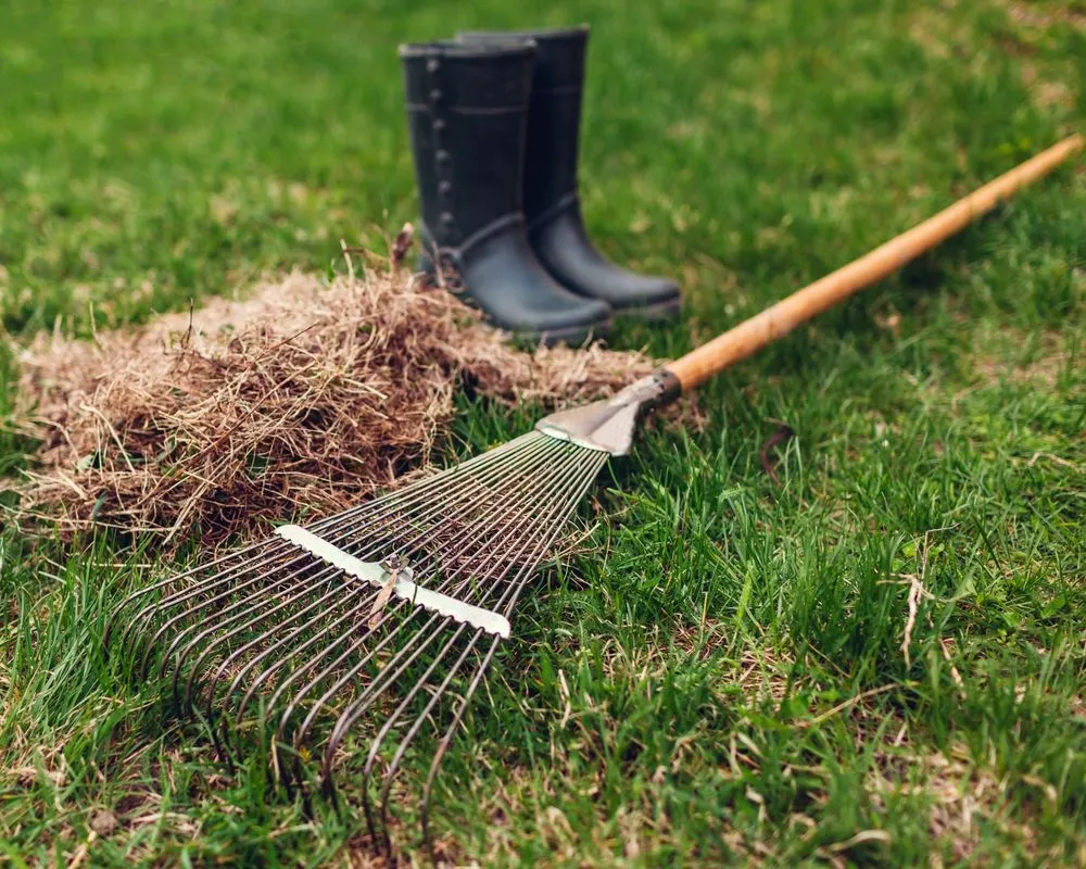 Professional landscape installation for homes across Denver, IA - Jack's Lawn Care & More