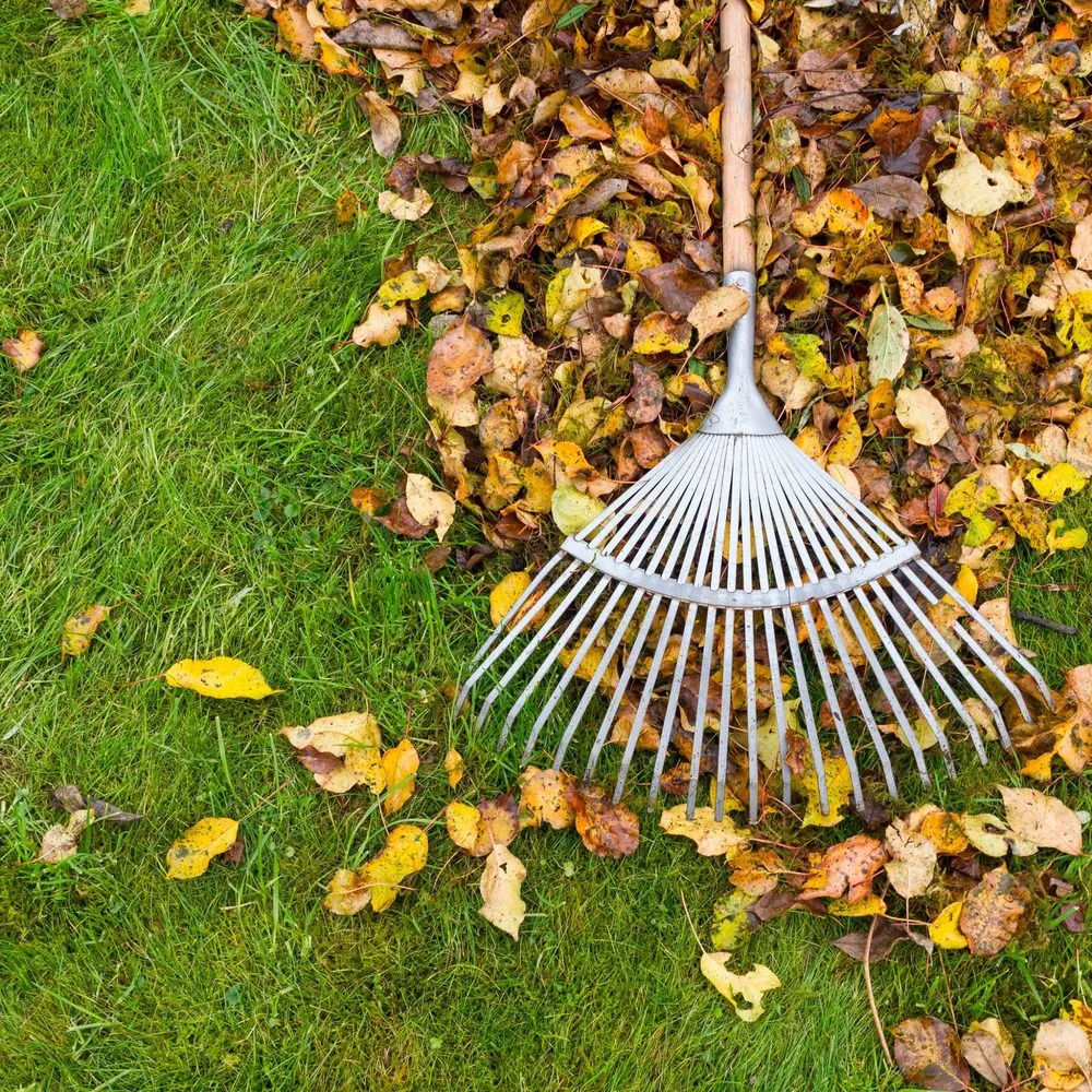 Professional outdoor landscaping for beautiful yards across Denver, IA - Jack's Lawn Care & More