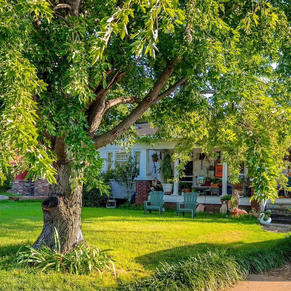 Affordable yard cleanup service with custom design across Denver, IA - Jack's Lawn Care & More