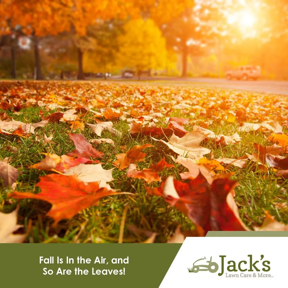 Professional garden landscaping for beautiful yards in Denver, IA by Jack's Lawn Care & More