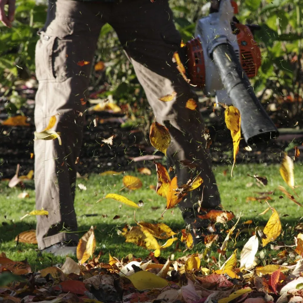 Top-rated yard cleanup service for outdoor upgrades in Denver, IA by Jack's Lawn Care & More