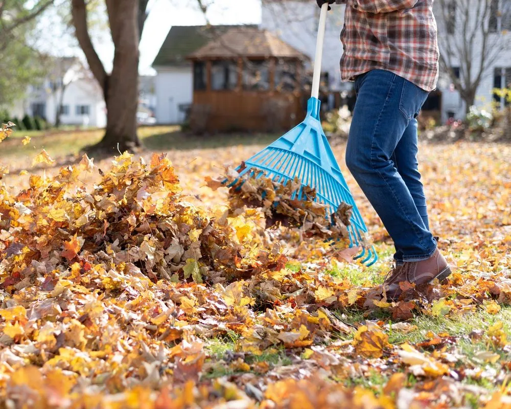 Reliable residential landscaping near you in Denver, IA by Jack's Lawn Care & More
