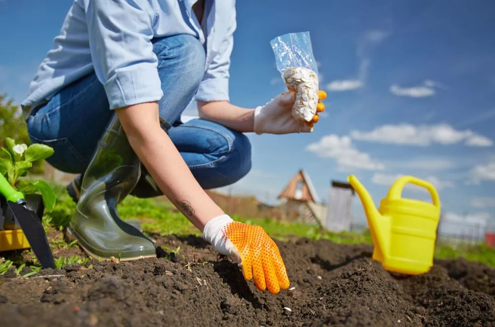 Professional outdoor landscaping in Denver, IA by Jack's Lawn Care & More