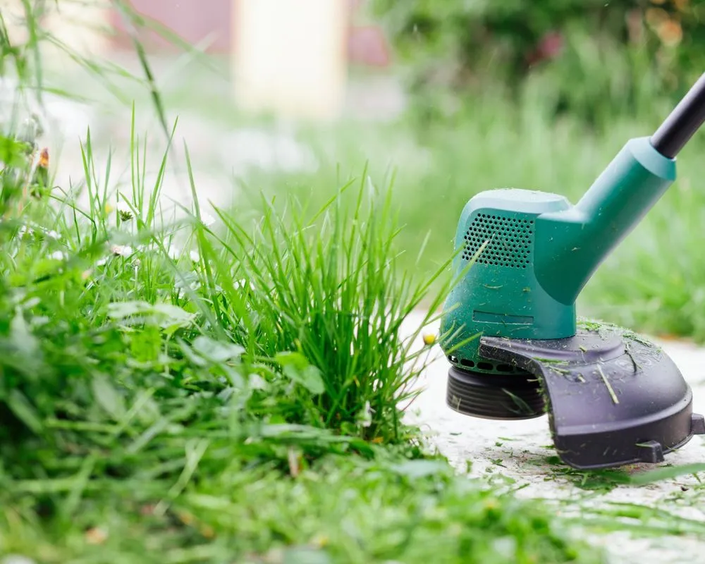 Custom landscaping services near you in Denver, IA by Jack's Lawn Care & More