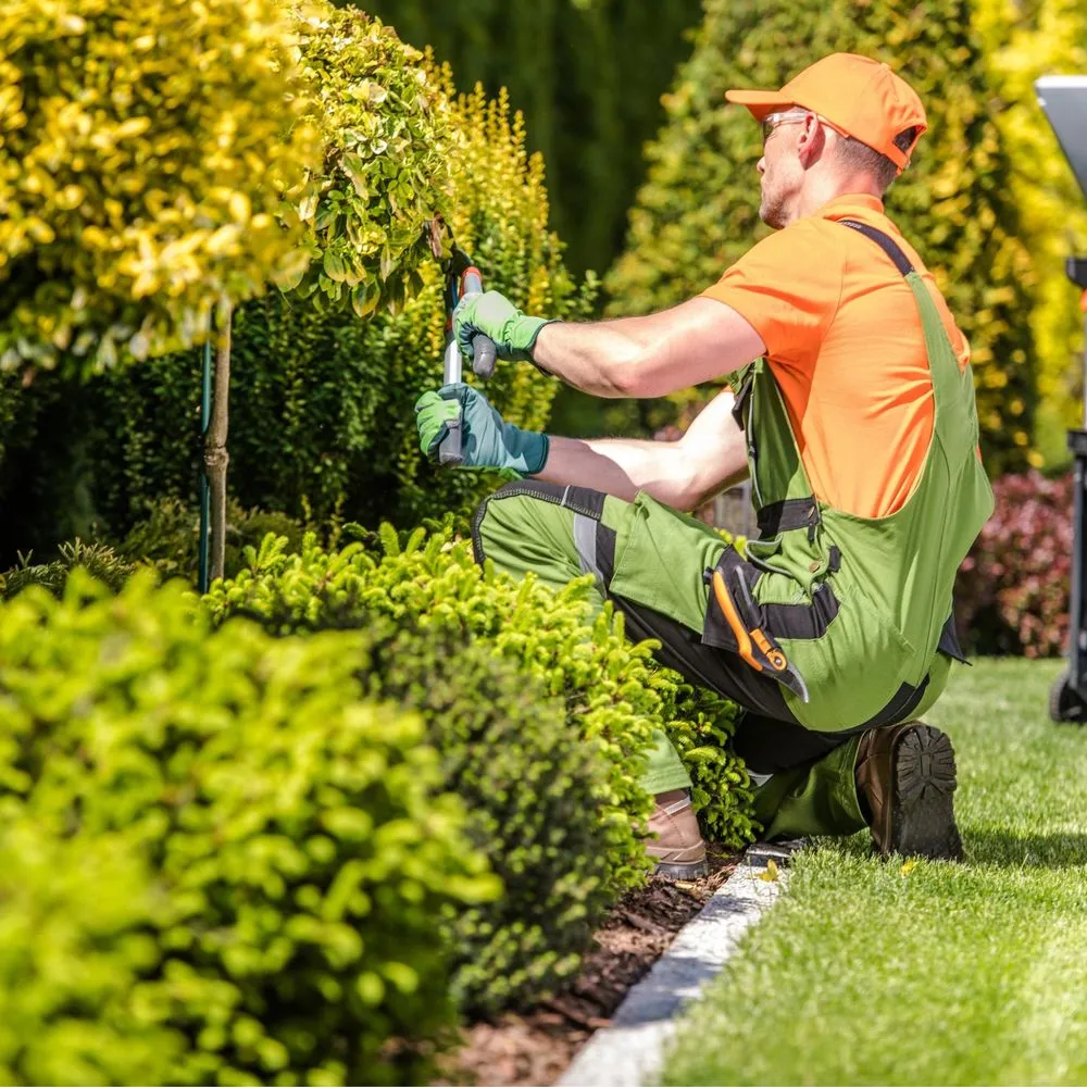 Affordable landscape installation for year-round maintenance across Denver, IA - Jack's Lawn Care & More