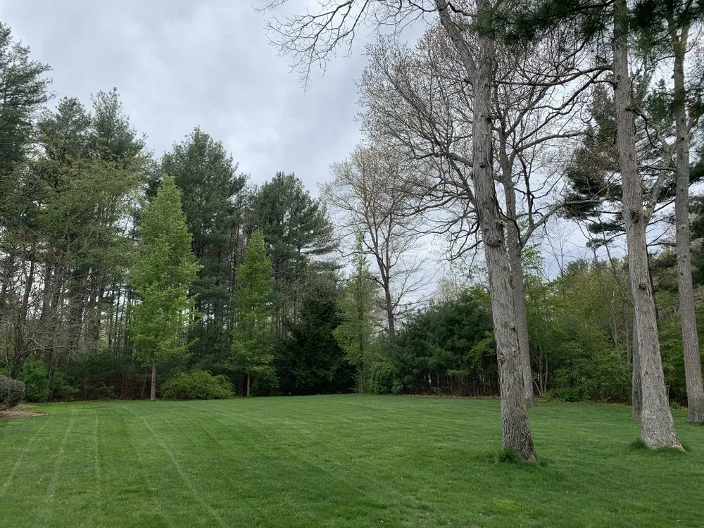Professional lawn care service experts serving Halifax, MA - Jack’s Lawn Care