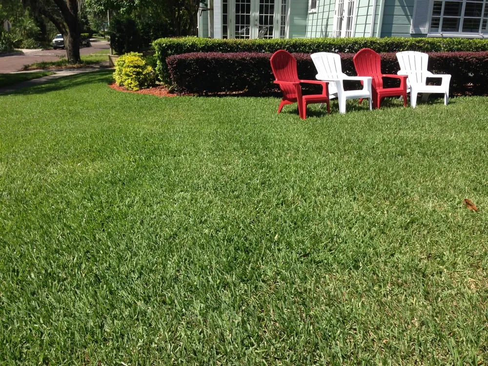 Top-rated lawn care service in Orlando, FL by Jack's Lawn Care