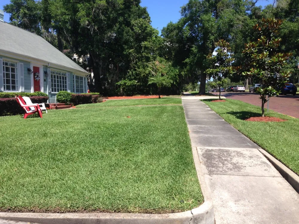 Custom yard maintenance for year-round maintenance across Orlando, FL - Jack's Lawn Care