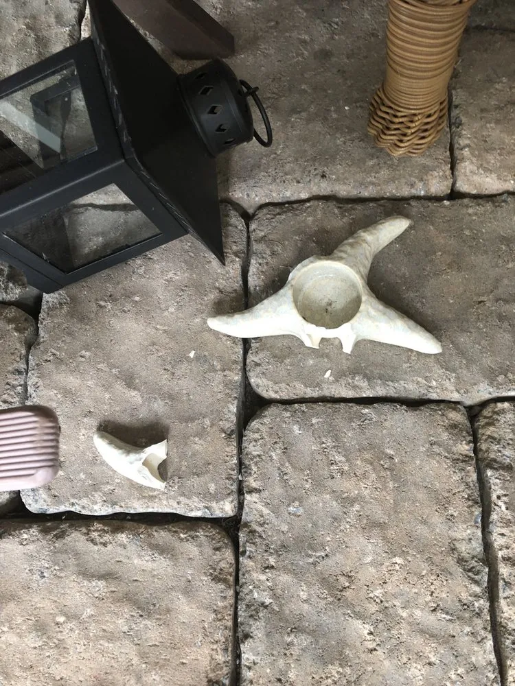 Top-rated lawn care service in West Nyack, NY by Jacks Lawn Care