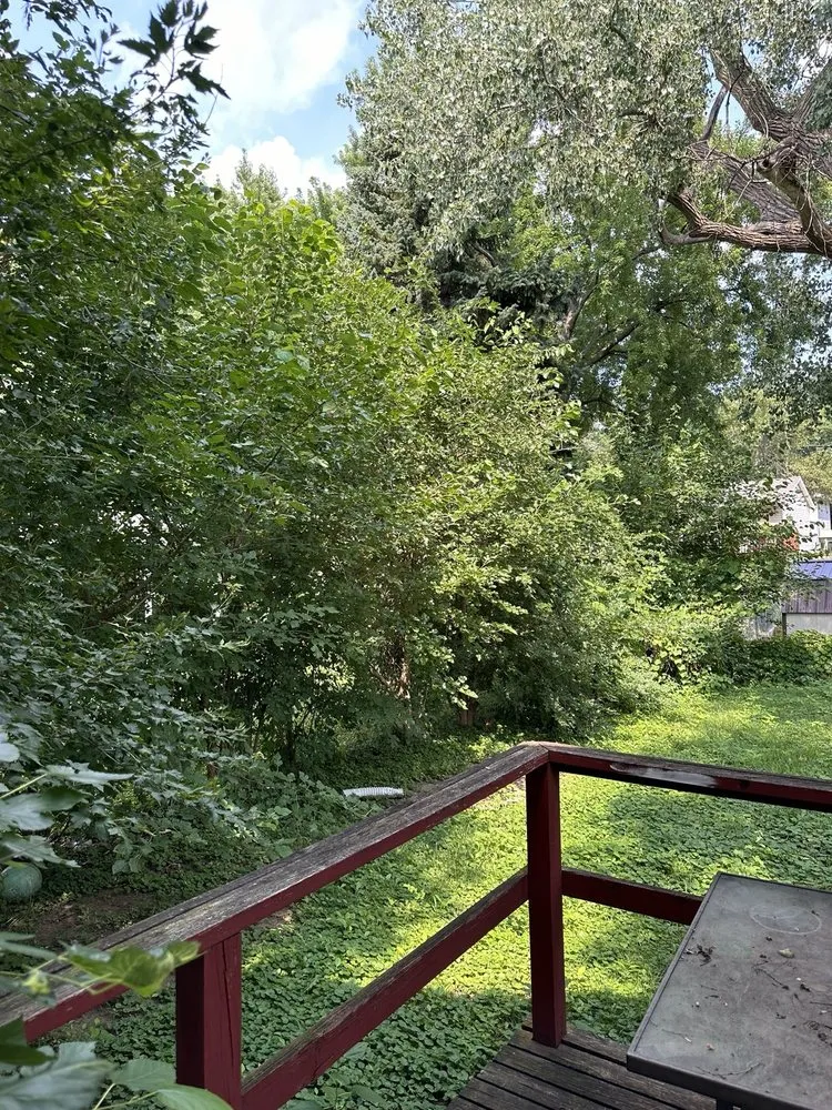 Affordable lawn care service for year-round maintenance across Sioux City, IA - Jack’s Mow and Snow