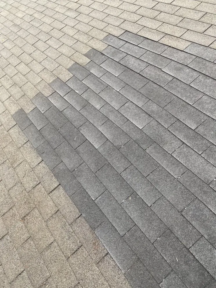 Custom outdoor landscaping experts serving Ladue, MO - Jacks of all Trades