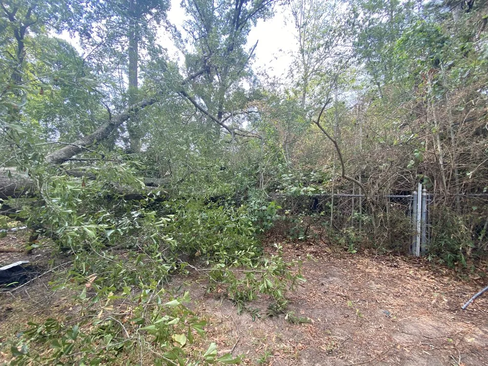 Affordable lawn care service in Shreveport, LA by Jack's Of All Trades