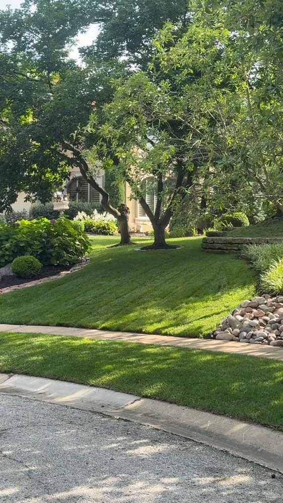 Top-rated yard cleanup service for year-round maintenance in Peculiar, MO by Jack’s Perfection Lawn Scape
