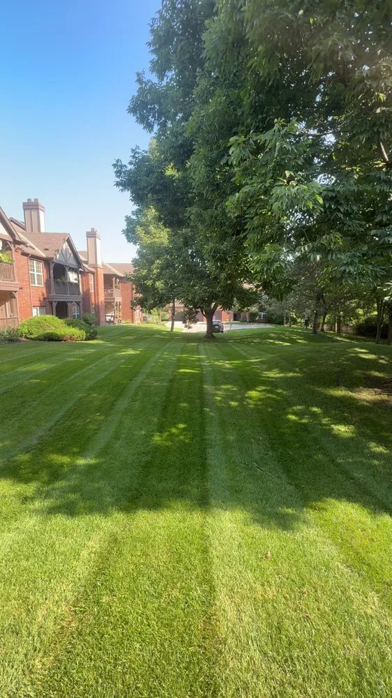 Affordable yard cleanup service for beautiful yards in Peculiar, MO by Jack’s Perfection Lawn Scape