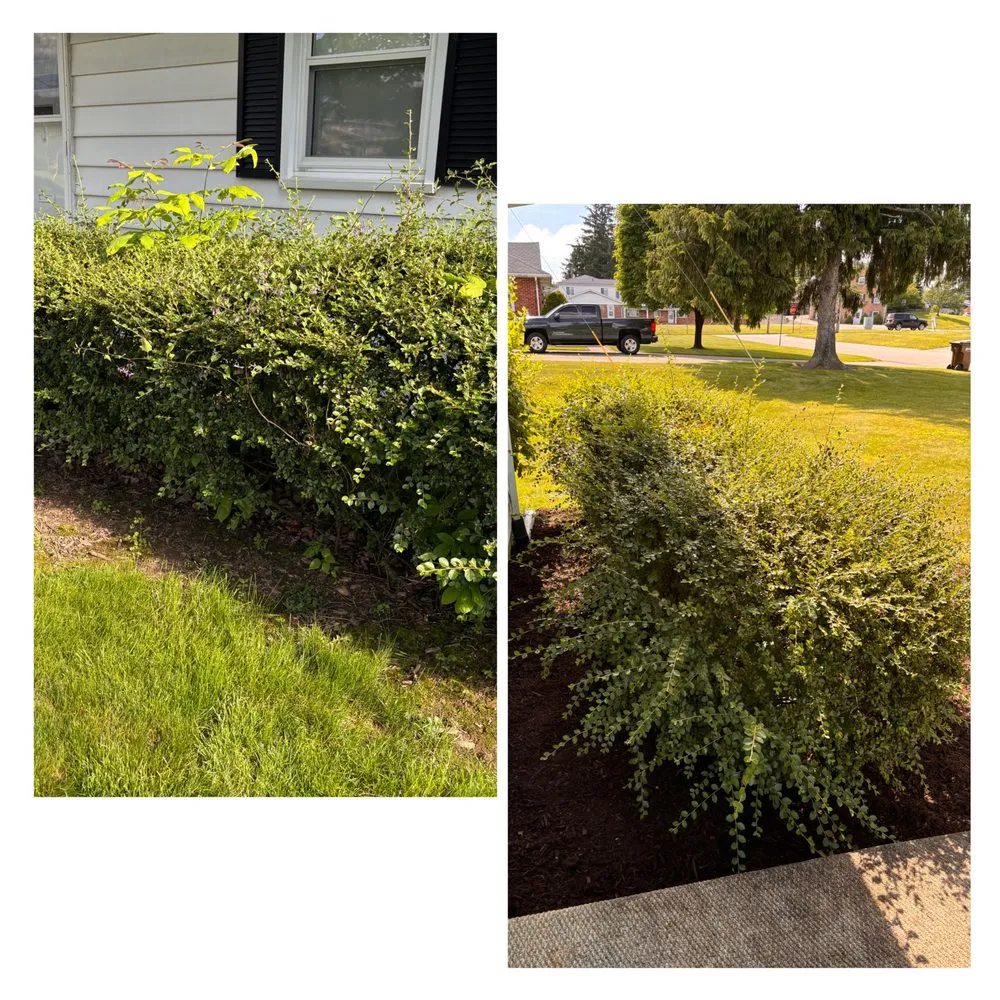 Reliable outdoor landscaping in Mansfield, OH by Jack’s Property Care