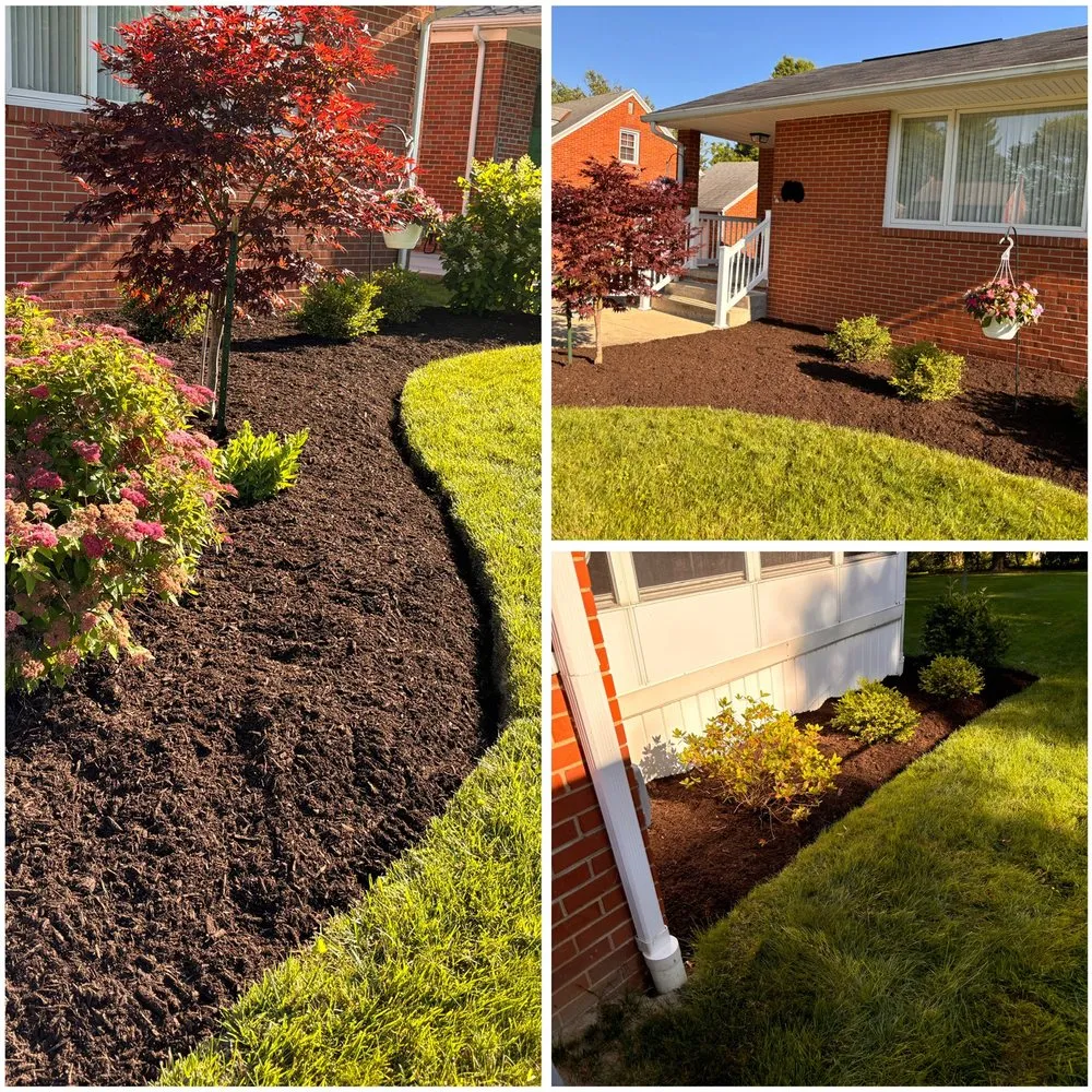 Reliable lawn care service for beautiful yards in Mansfield, OH by Jack’s Property Care