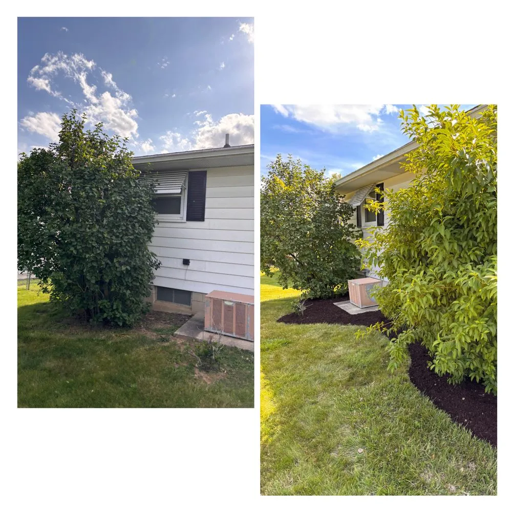 Trusted landscape design for beautiful yards across Mansfield, OH - Jack’s Property Care