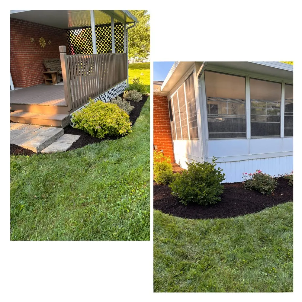 Professional lawn care service for beautiful yards across Mansfield, OH - Jack’s Property Care