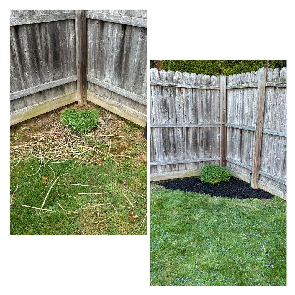 Reliable yard cleanup service experts serving Mansfield, OH - Jack’s Property Care