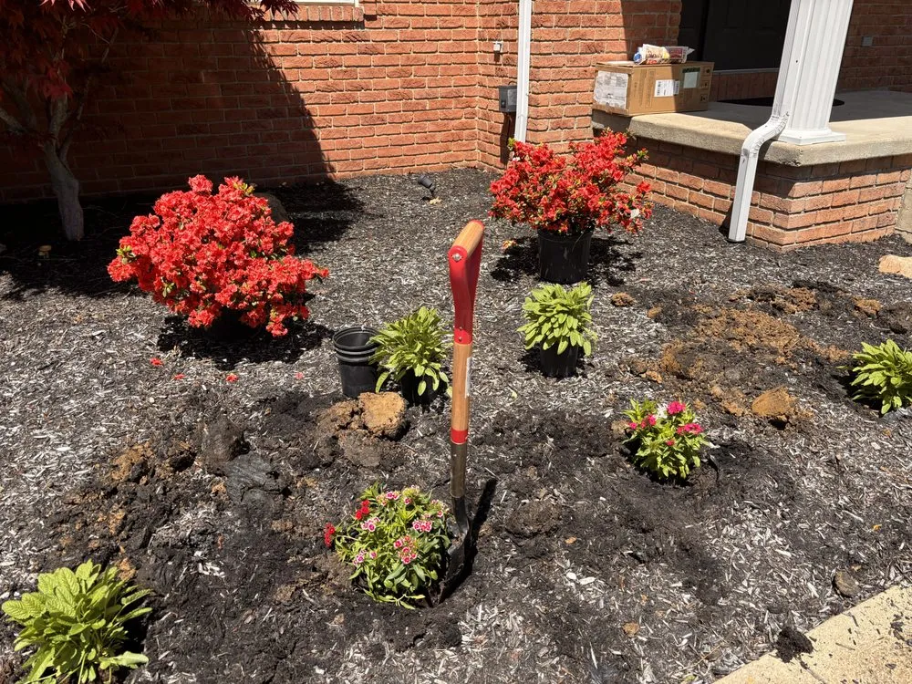 Affordable lawn care service for beautiful yards across Mansfield, OH - Jack’s Property Care