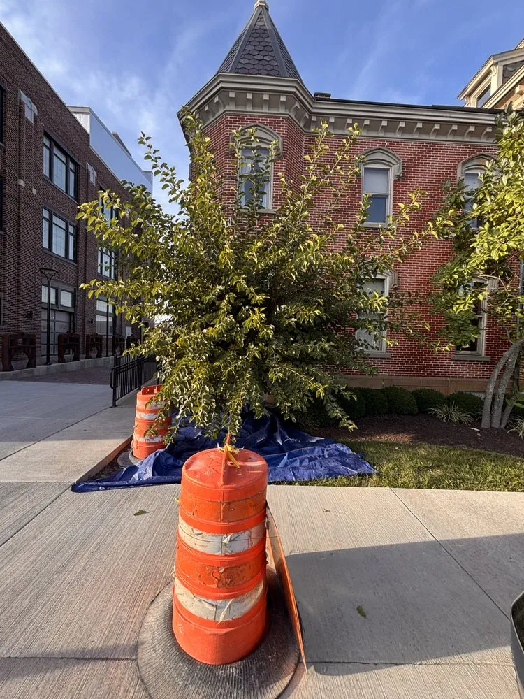 Affordable lawn care service in Mansfield, OH by Jack’s Property Care