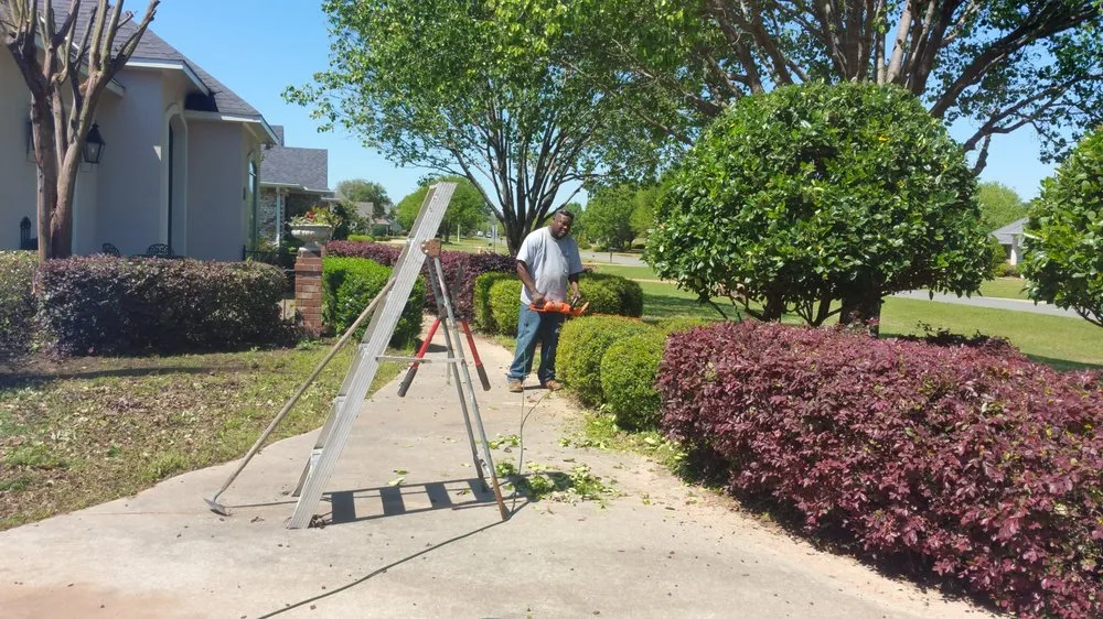 Professional residential landscaping for residential properties in Shreveport, LA by Jack's Quality Landscaping