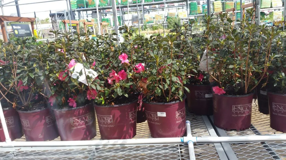 Affordable lawn care service experts serving Shreveport, LA - Jack's Quality Landscaping