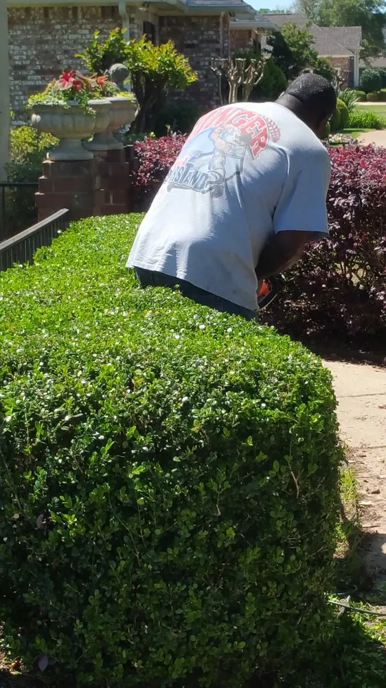 Affordable residential landscaping for year-round maintenance in Shreveport, LA by Jack's Quality Landscaping