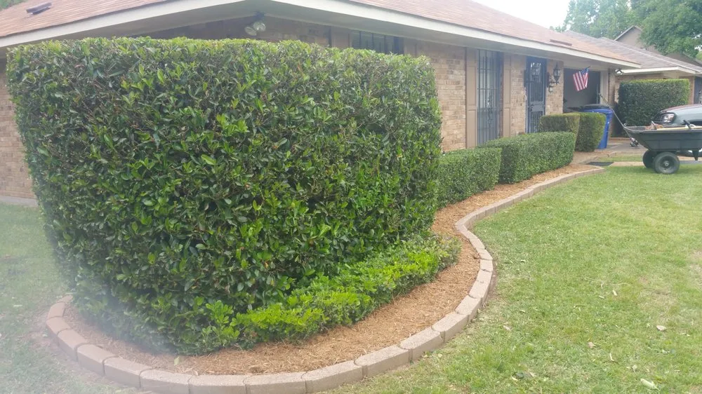 Top-rated garden landscaping with custom design across Shreveport, LA - Jack's Quality Landscaping