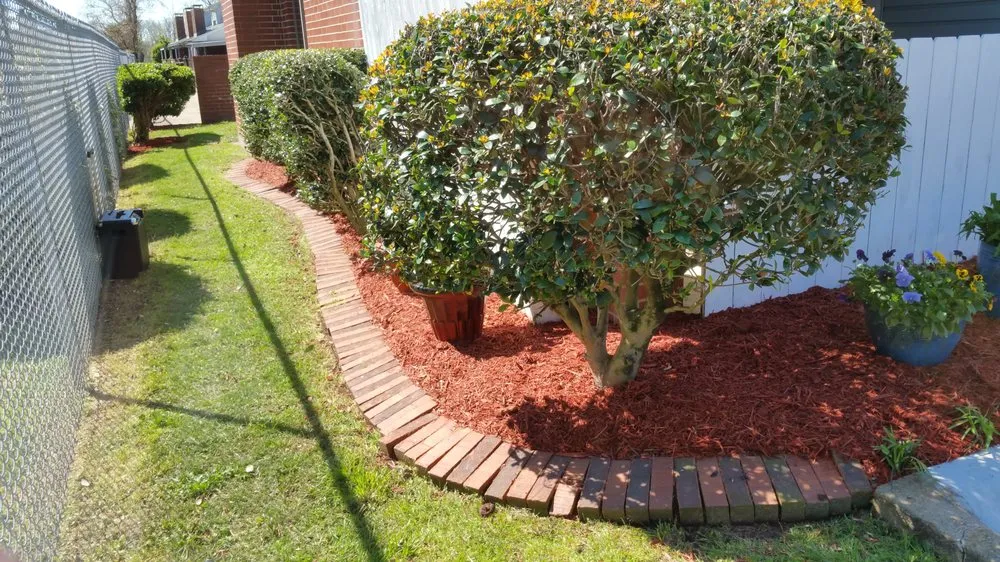 Top-rated yard cleanup service in Shreveport, LA - Jack's Quality Landscaping