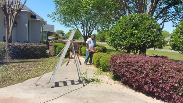 Jack's Quality Landscaping Logo