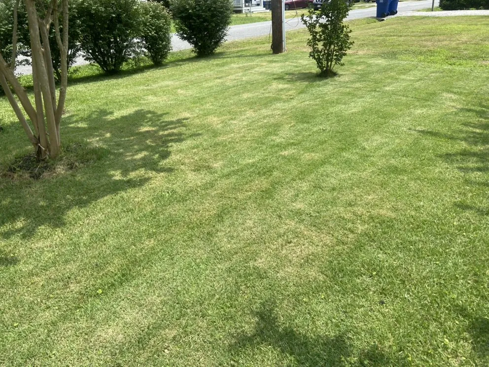 Local lawn mowing service in Richmond, VA by Jacks services