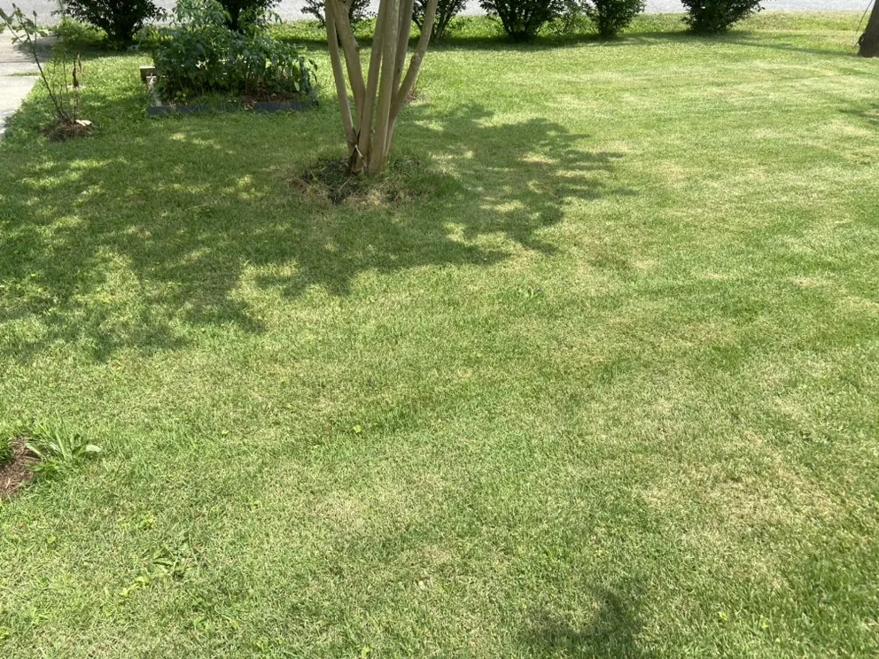 Custom yard maintenance in Richmond, VA by Jacks services