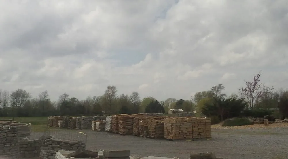 Expert yard cleanup service experts serving Portland, TN - Jack's Yard