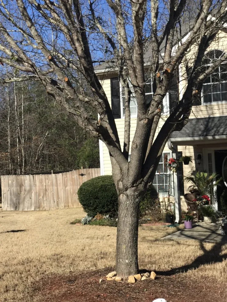 Reliable outdoor landscaping in Atlanta, GA - Jackson 360 Landscape