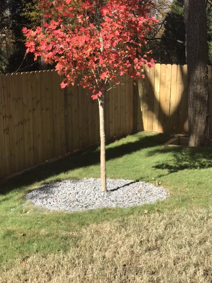 Trusted garden landscaping experts serving Atlanta, GA - Jackson 360 Landscape