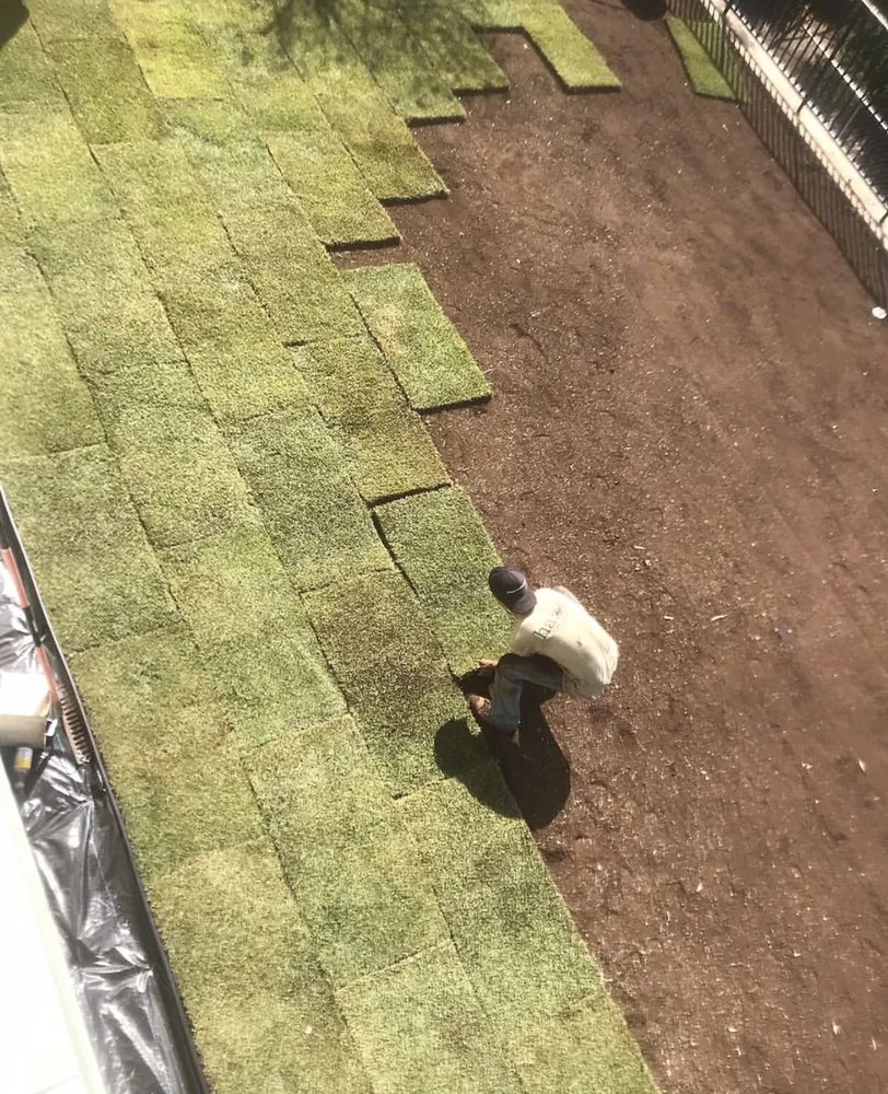 Custom outdoor landscaping for homes in Atlanta, GA by Jackson 360 Landscape