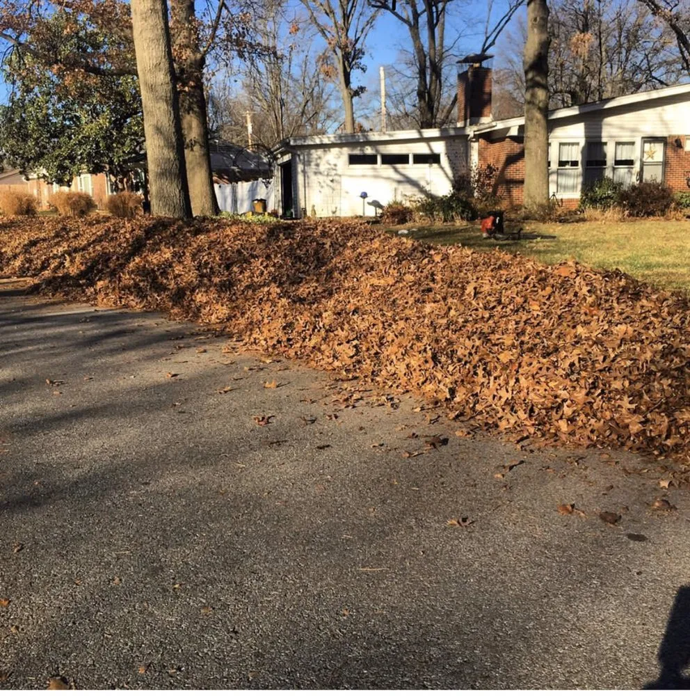 Local yard cleanup service in Atlanta, GA by Jackson 360 Landscape