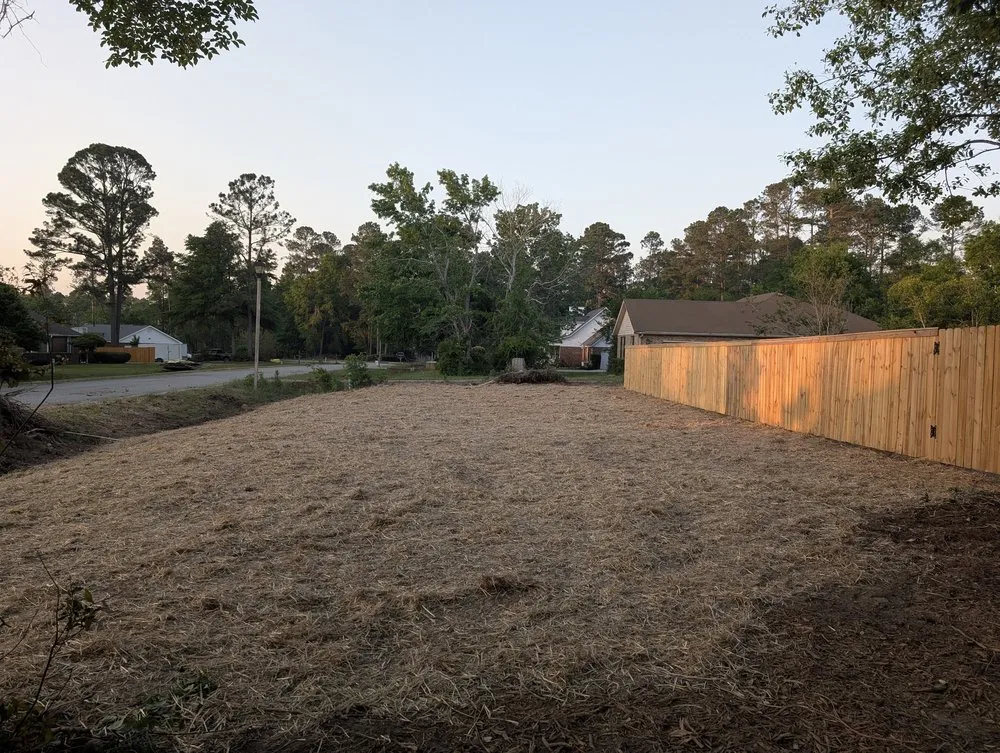 Professional landscape installation for homes in Atlanta, GA by Jackson 360 Landscape