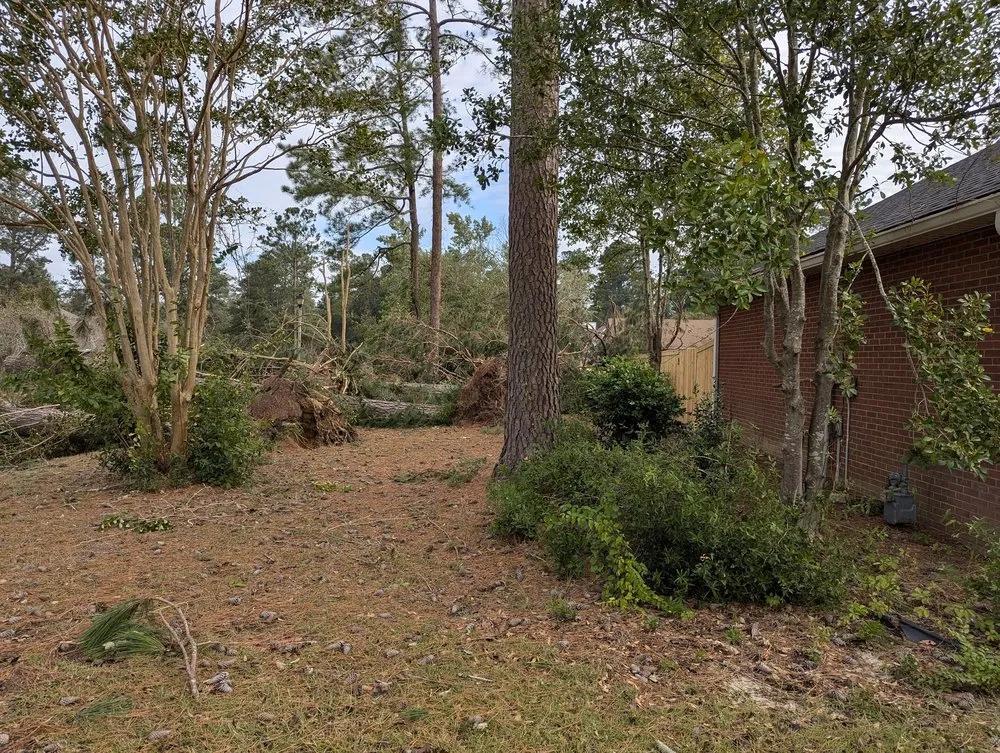 Trusted lawn mowing service in Atlanta, GA by Jackson 360 Landscape